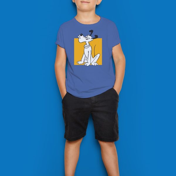 Alternative view of pluto